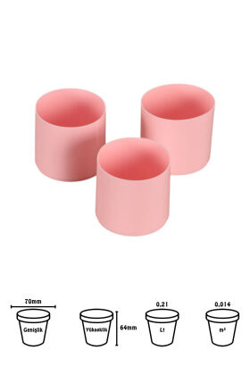 Mini Kaktüs Sukulent Saksısı 3lü Set Pembe Trend Model 6 Cm - 2