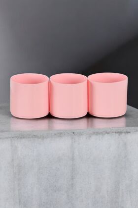 Mini Kaktüs Sukulent Saksısı 3lü Set Pembe Trend Model 6 Cm - 4