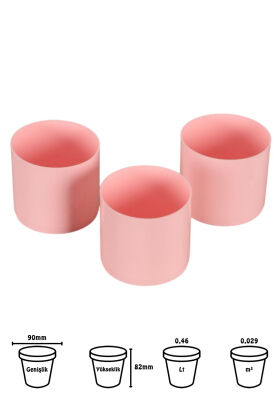 Mini Kaktüs Sukulent Saksısı 3lü Set Pembe Trend Model 8 Cm - 2