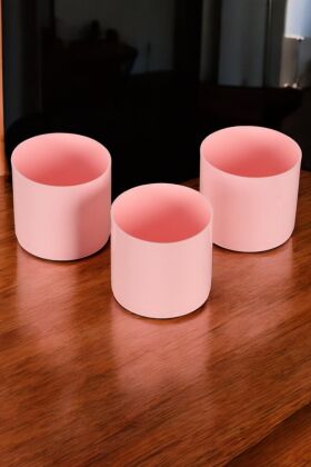 Mini Kaktüs Sukulent Saksısı 3lü Set Pembe Trend Model 8 Cm - Yapay Çiçek Deposu