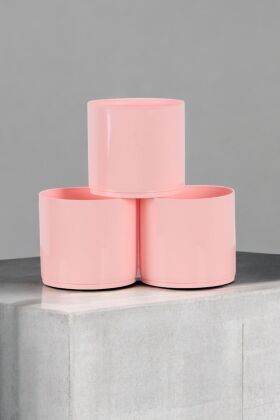Mini Kaktüs Sukulent Saksısı 3lü Set Pembe Trend Model 8 Cm - 4