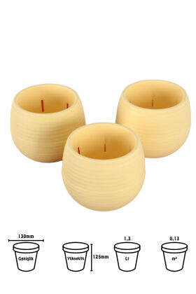 Mini Kaktüs Sukulent Saksısı 3lü Set Sarı Elvan Model 12.5 Cm 1.3 Litre - 2