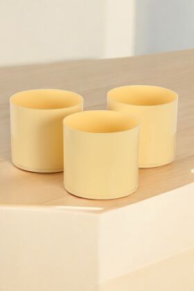 Mini Kaktüs Sukulent Saksısı 3lü Set Sarı Trend Model 10 Cm - 3