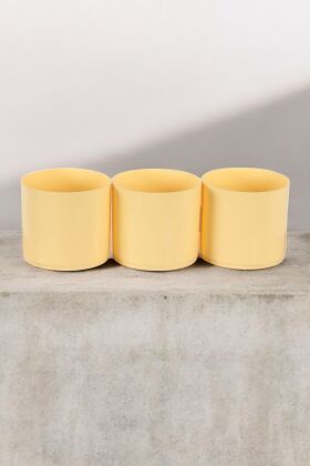 Mini Kaktüs Sukulent Saksısı 3lü Set Sarı Trend Model 10 Cm - 4