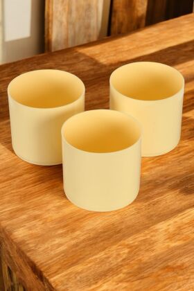 Mini Kaktüs Sukulent Saksısı 3lü Set Sarı Trend Model 10 Cm - Yapay Çiçek Deposu