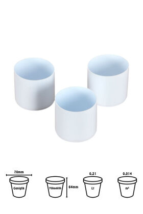 Mini Kaktüs Sukulent Saksısı 3lü Set Soft Mavi Trend Model 6 Cm - 2
