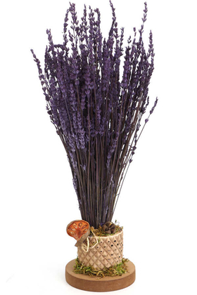 Mini Vazoda Kokulu Şoklanmıs Lavanta Tanzimi 35 cm - 2