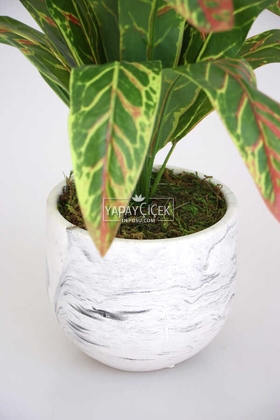 Beton Saksıda Uzun Yapraklı Yapay Bitki 42 cm Model-2 - 3