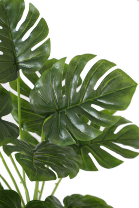 Yapay Lüx 12 Dallı Deve Tabanı Bitkisi 40 cm Yeşil - 2