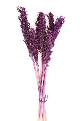 Kuru Çiçek Sorghum Otu 55 cm Mürdüm - Yapay Çiçek Deposu