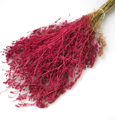 Kuru Çiçek Meksika Otu Pembe - 2