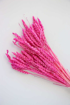 İthal Kuru Başak Demeti Pembe - 2