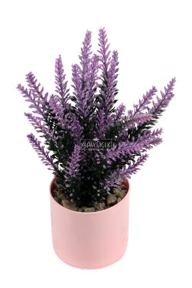 Pembe Saksıda Gündoğumu Lavantası Tanzimi 27 cm - 2