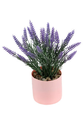 Pembe Saksıda Sabah Işığı Lavanta Aranjmanı 25 cm - 2