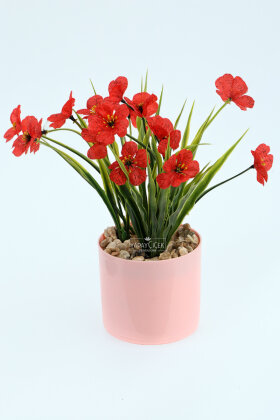 Pembe Saksıda Sienna Tanzim 23 cm Kırmızı - 2