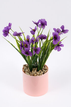 Pembe Saksıda Sienna Tanzim 23 cm Mor - 2