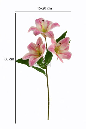 Yapay Çiçek 3 Başlı Lüx Islak Kazablanka Dalı 60 cm Pembe - 3