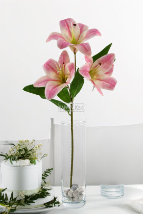 Yapay Çiçek 3 Başlı Lüx Islak Kazablanka Dalı 60 cm Pembe - 2