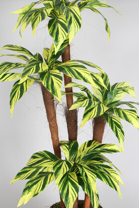 Metal Saksıda Bodur Yapay Ağaç Cordyline 130 cm Yeşil Sarı - 2