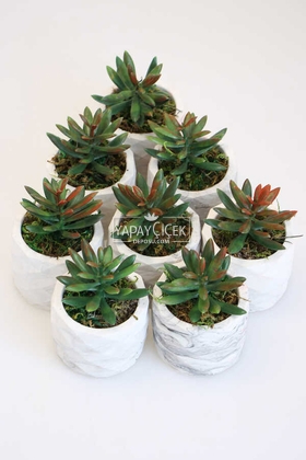 8 Adet Beton Saksıda Yeşil Kızıl Succulent Senecio Plant Set - Yapay Çiçek Deposu