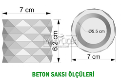 8 Adet Beton Saksıda Yeşil Kızıl Succulent Senecio Plant Set - 5
