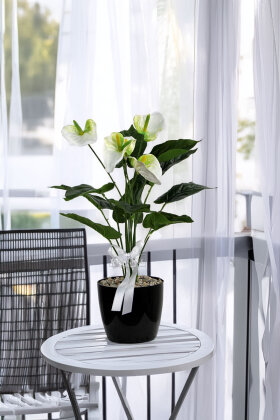  Siyah Saksıda Yapay Antoryum Bitki Beyaz 54 cm - 2