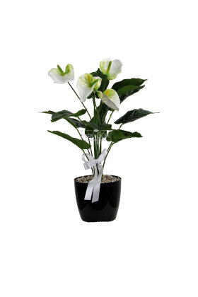  Siyah Saksıda Yapay Antoryum Bitki Beyaz 54 cm - 3