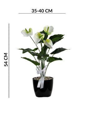  Siyah Saksıda Yapay Antoryum Bitki Beyaz 54 cm - 4