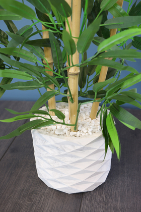 Saksıda Bambu Ağacı Koyu Yeşil 65 cm (Taşlı Model) - 2