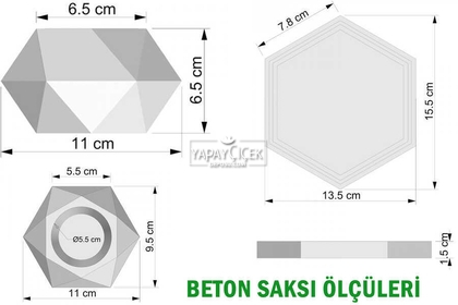 Tepsili Beton Saksıda Kuru Başak Tanzimi 3lü (Set-3) - 4