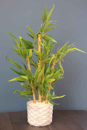  Saksıda Lüx Bambu Ağacı Açık Yeşil 65 cm (Taşlı Model) - 2