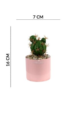 Pembe Saksıda Yapay Mini Mickey Kaktüs 16 cm - 4
