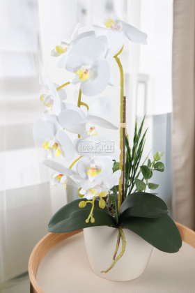 Saksıda Yapay Baskılı Islak Orkide 55 cm Beyaz-Fıstık - Yapay Çiçek Deposu