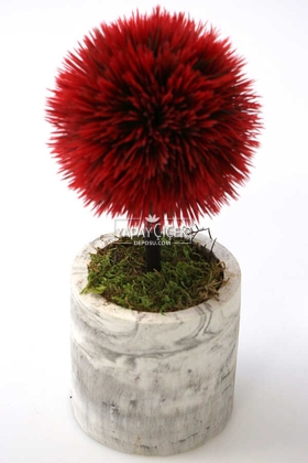 Yapay Ağaç Handmade Mermer Görünümlü Beton Saksıda Mini Top Kirpi Kırmızı-Grafitigri Saksı - 2