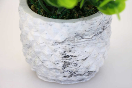 Dekoratif Beton Saksıda Şimşir Tanzimi 15cm - 2