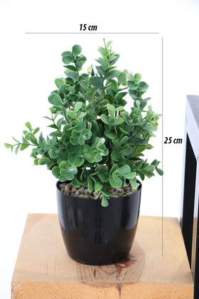 Yapay Yoğun Yaprakli Okaliptus Saksılı 25 cm - 2