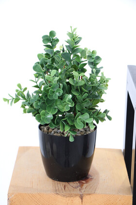 Yapay Yoğun Yaprakli Okaliptus Saksılı 25 cm - 3