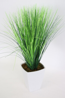 Melamin Saksıda Kabarık Saz Püskül 65 cm - 2