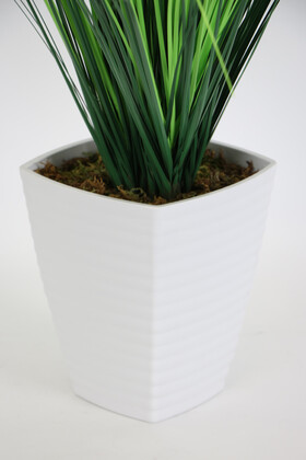 Melamin Saksıda Kabarık Saz Püskül 65 cm - 3