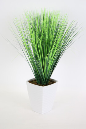 Melamin Saksıda Kabarık Saz Püskül 65 cm - 1