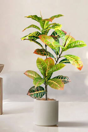 Yapay Ağac Saksıda Kraton Bitkisi 3 Dallı 105 cm (Hasır Saksılı) - 7
