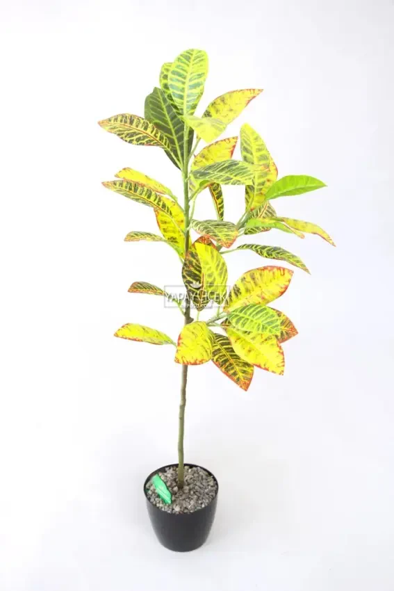 Yapay Ağac Saksıda Kraton Bitkisi 3 Dallı 105 cm - Yapay Çiçek Deposu