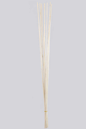 Salex Kuru Dal (Uzun, 10 Adet; 150 cm) - Yapay Çiçek Deposu