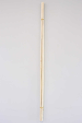 Salex Kuru Dal (Uzun, 10 Adet; 150 cm) - 2