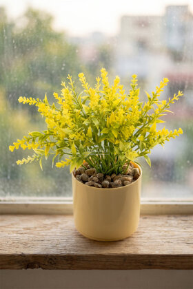 Sarı Saksıda Masaüstü Salvia Çiçeği Tanzimi 20 cm Sarı - Yapay Çiçek Deposu