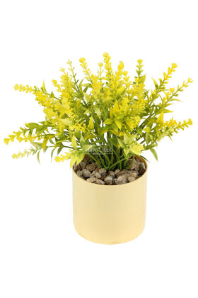 Sarı Saksıda Masaüstü Salvia Çiçeği Tanzimi 20 cm Sarı - 2