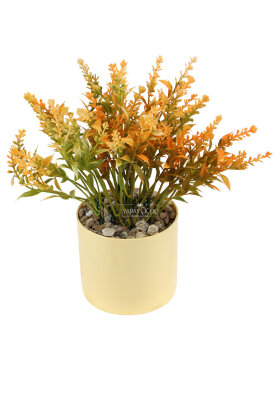 Sarı Saksıda Masaüstü Salvia Çiçeği Tanzimi 20 cm Turuncu - 2