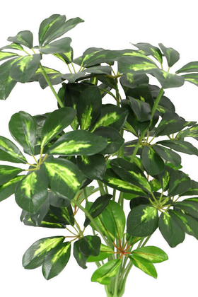 Yapay Şeflera Bitki Demeti 65cm (Schefflera) Açık Yeşil - 3