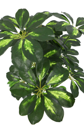 Yapay Şeflera Bitki Demeti 65cm (Schefflera) Açık Yeşil - 4