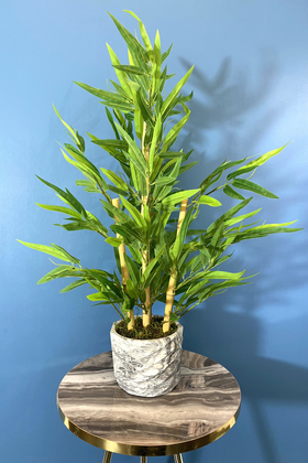 Beton Saksıda Lüx Bambu Ağacı Açık Yeşil 65 cm (Yosunlu Model) - 1